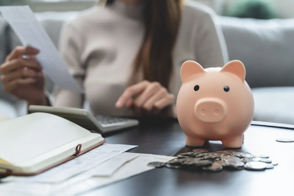 persoana care calculeaza cat poate economisi lunar