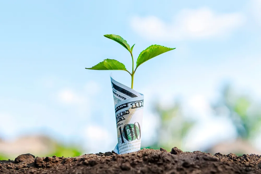 Locuri unde tii banii economisiti ca sa nu-i cheltui